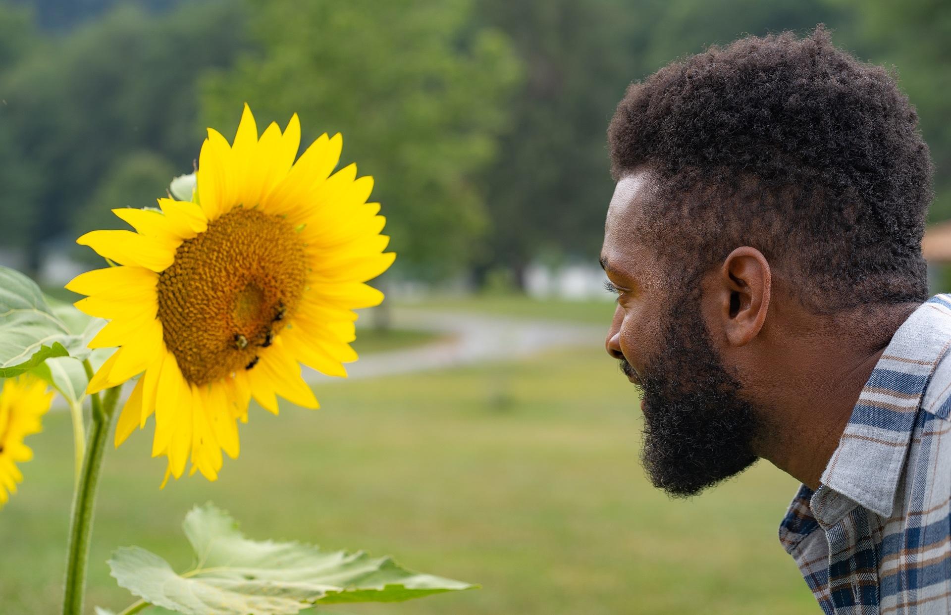 Baratunde Thurston up close with bees on a sunflower in West Virginia 