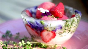 Strawberry Rhubarb Sorbet recipe